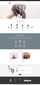 ecommerce web design